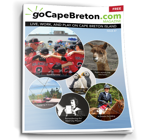 Magazine Cover Issue 7